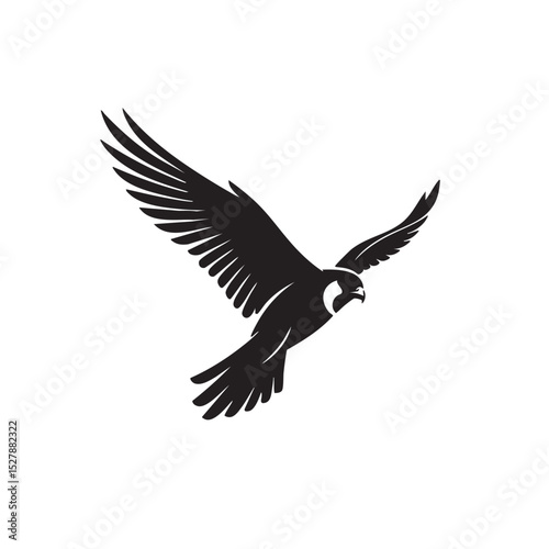 Majestic Falcon in Flight A Powerful Bird of Prey Silhouette