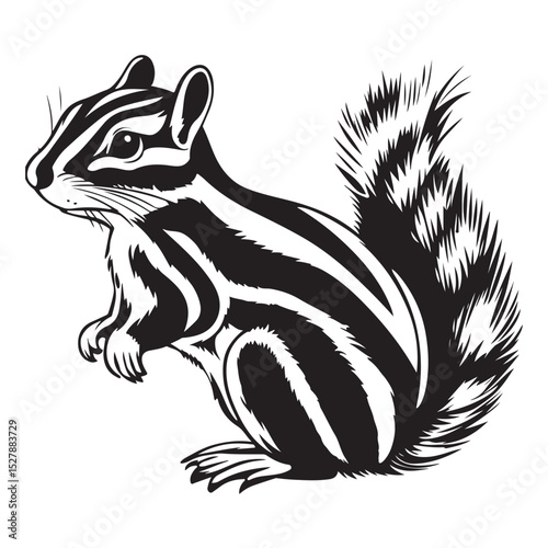 Siberian chipmunk is standing on the ground, It has a black nose and black eyes, chipmunk silhouette black vector, chipmunk silhouette line art vector illustration