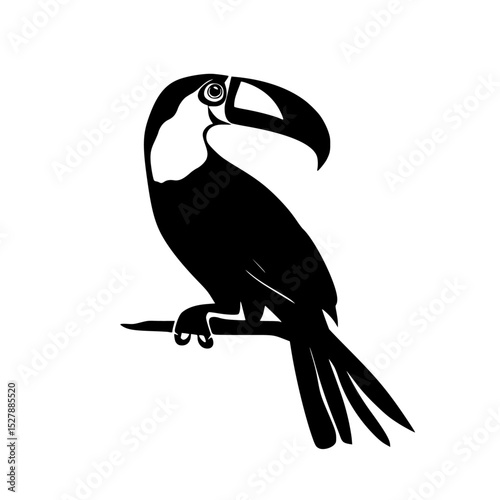 a black and white illustration of a parrot sitting on a branch bird, black, branch, illustration, parrot, silhouette, sit on, tree branch , Generative art.
