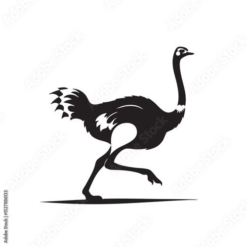 Majestic Ostrich in Motion A Striking Black and White Illustration