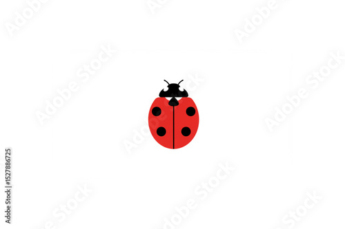 cute ladybug illustration isolated on white background