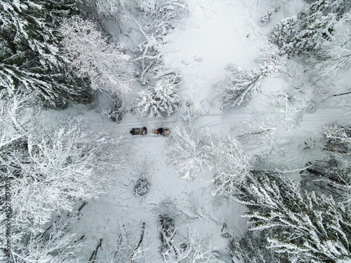 An aerial view captures snowmobiles traversing a snow covered path amidst a dense winter forest under a cloudy sky