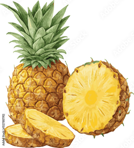 Fresh Pineapple with Slices – Tropical Fruit Illustration Isolated on White Background