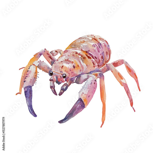 watercolor of Mite, vector high quality, isolated on a white background.