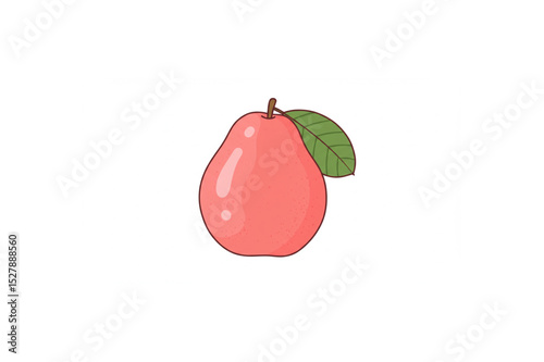 pink guava vector illustration on a white background