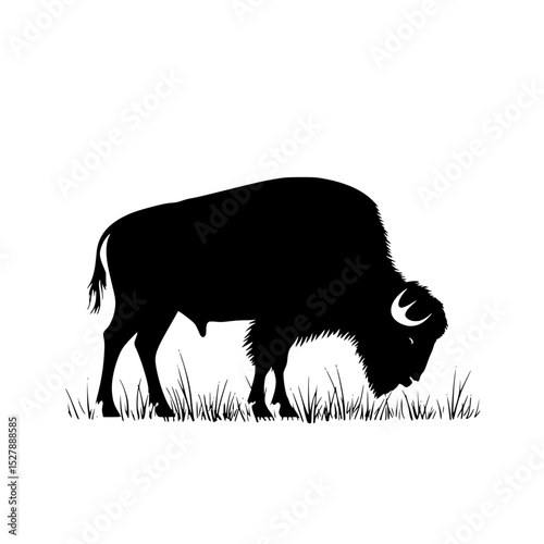 a black silhouette of a bison grazing in a field of grass bison, black, buffalo, field, grass, graze, illustration, silhouette, stand , Generative art.
