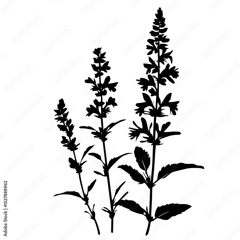 Fototapeta premium a black and white illustration of a plant black, flower, illustration, plant, silhouette , Generative art.