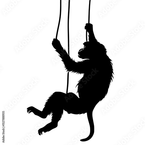a black and white silhouette of a monkey hanging on a rope like a wolf animal, black, hang, hang on, hold, monkey, rope, silhouette, swing, wolf , Generative art.