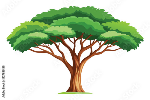 Lush Green Tree Nature's Majestic Canopy