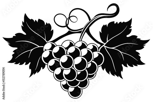 Elegant Black and White Grapevine Illustration A Classic Design