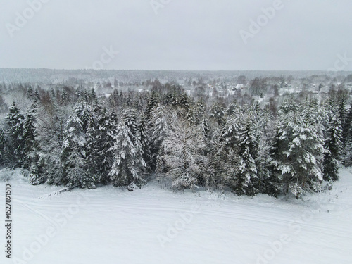 A wide shot of a winter forest with snow covered evergreen trees and a vast snow covered field in the foreground