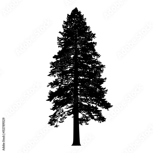 a black and white silhouette of a pine tree black, pine tree, silhouette, tall, tree , Generative art.
