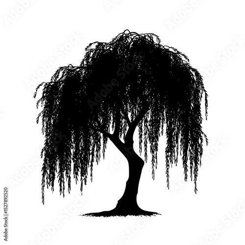 a black and white silhouette of a willow tree black, silhouette, tree, willow tree , Generative art.