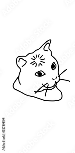 cat lag reaction