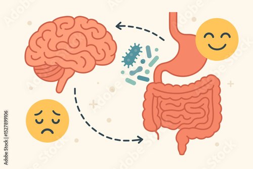 Gut-brain connection vector infographic. Concept of gut-brain axis showing how microbiome and intestinal flora influence mental health, mood, and emotions. Psychology and digestion.