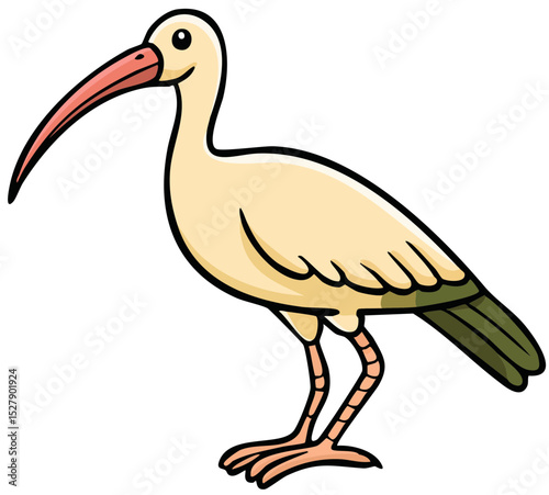 Curved Beak Bird Illustration