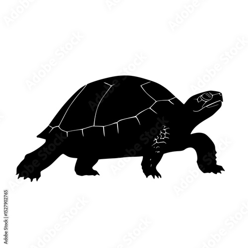 black silhouette of a turtle on a white background black, silhouette, turtle , Generative art.