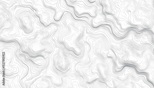 Abstract Topographic Line Art Pattern