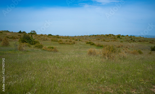 Plateau du Larzac, causse du Larzac, parc naturel régional des Grands Causses, 12, Aveyron, France