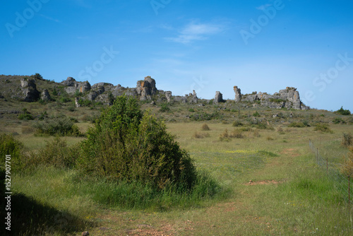 Plateau du Larzac, causse du Larzac, parc naturel régional des Grands Causses, 12, Aveyron, France