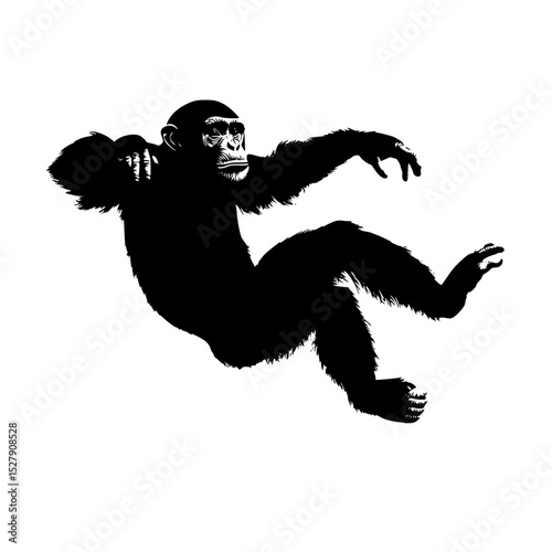 a black and white silhouette of a monkey black, chimpanzee, hang, hang on, monkey, silhouette