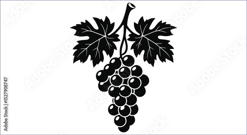 Black And White Grape Bunch With Leaves Vector Illustration Isolated