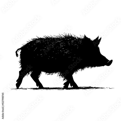 black silhouette of a wild boar on a white background black, boar, illustration, silhouette, wild 