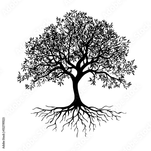 black silhouette of a tree with roots on a white background black, root, silhouette, tree