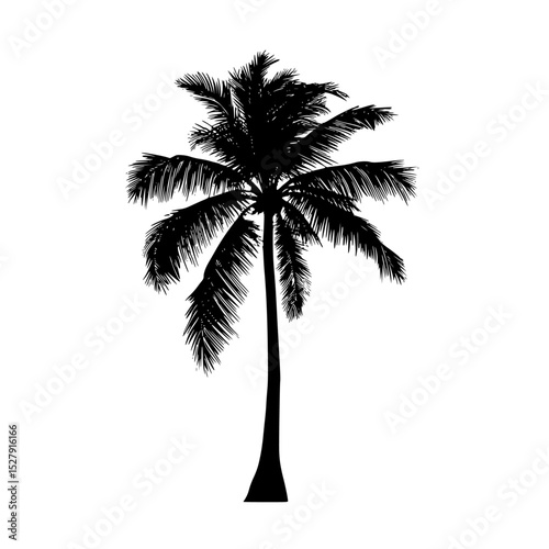 a black and white palm tree on a white background black, palm tree, silhouette