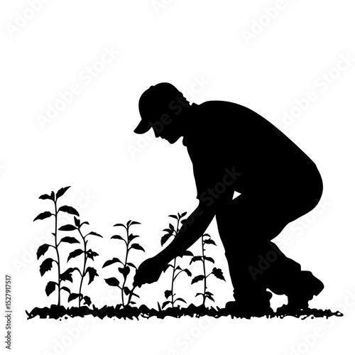 black silhouette of a man working in the garden, planting flowers in the field black, farmer, field, flower, garden, gardener, man, person, plant, silhouette, work 