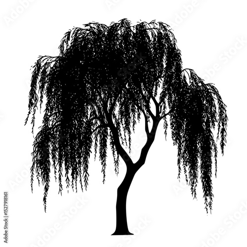 a black and white silhouette of a willow tree black, silhouette, tree, willow tree , Generative art.