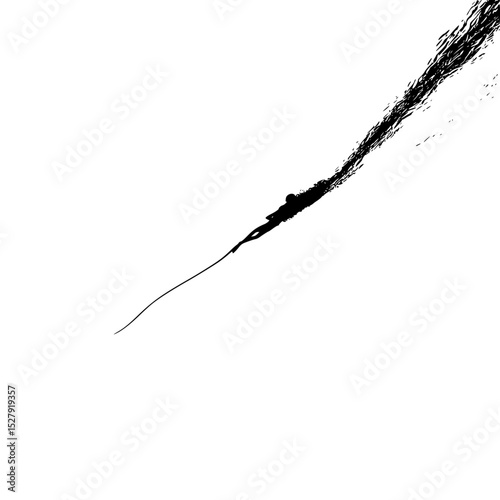 a black and white silhouette of a kite with long hair black, fly, hair, kite, long, silhouette, toothbrush, umbrella, water