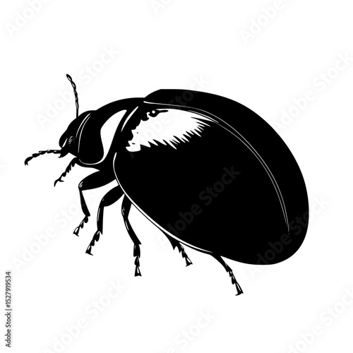 a black silhouette of a beetle on a white background, a drawing of an insect beetle, black, bug, drawing, icon, illustration, insect, silhouette 