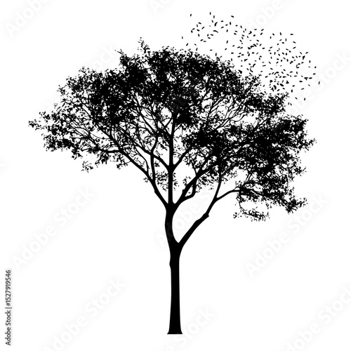 a black silhouette of a tree with birds flying around it bird, black, fly, silhouette, tree