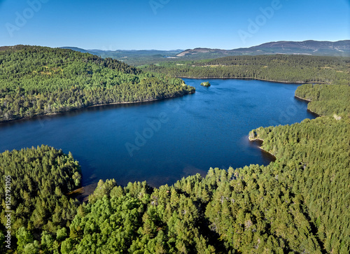 Mountain and Forest landsca...