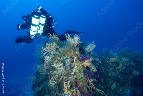 Rocce ricoperte da gorgonie gialle, Eunicella cavolinii, e alghe verdi e sub con rebreather, bail out e DPV