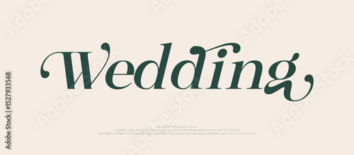 Elegant Font Uppercase Lowercase and Number. Classic Lettering Minimal Fashion Designs. Typography modern serif fonts italic decorative vintage vector illustration | Wedding Font Variation
