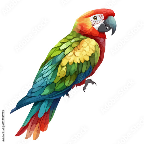 watercolor of Parrot, vector high quality, isolated on a white background.
