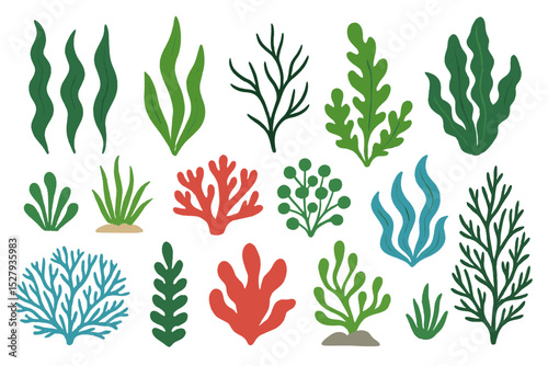 Collection of seaweed and coral cartoon vector icons isolated on white background, aquatic plants from the ocean