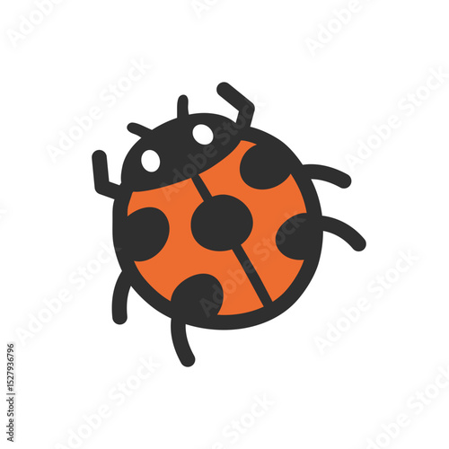 Lady Beetle