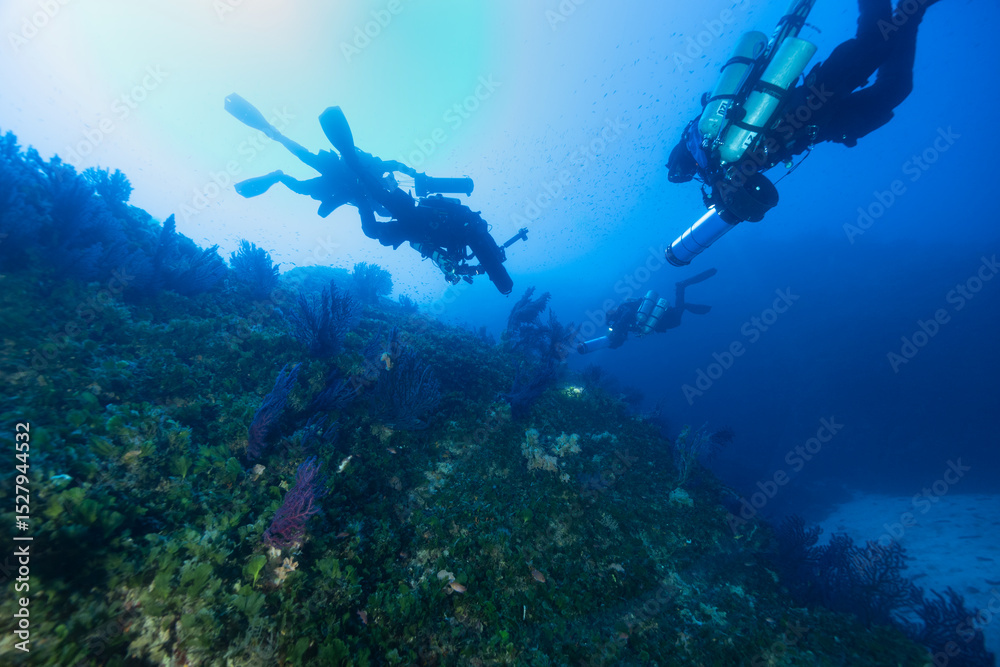 Fototapeta premium Parete di una secca ricoperta de gorgonie rosse, Paramuricea clavata e sub con rebreather e DPV