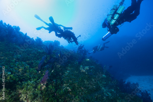 Parete di una secca ricoperta de gorgonie rosse, Paramuricea clavata e sub con rebreather e DPV