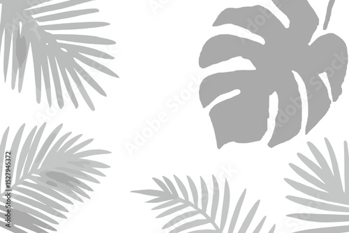 Tropical leaves pattern vector art, palm leaves and monstera leaf isolated on a white background