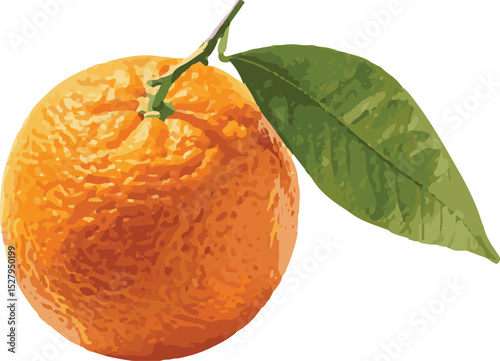 Fresh Ripe Orange with Green Leaf Isolated on White Background