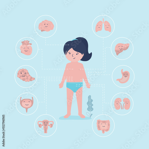 Little girl full length with icons of internal organs. Human body anatomy. Educational infographic for kids. Set of different organs and systems. Anatomical structure.