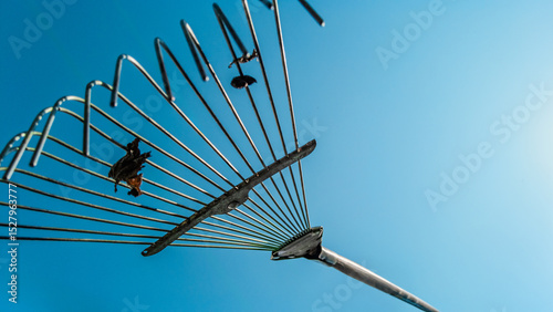 Metal leaf rake on blue sky background at sunny day. Metal rake tines silhouetted on sky background, gardening equipment for lawn maintenance.