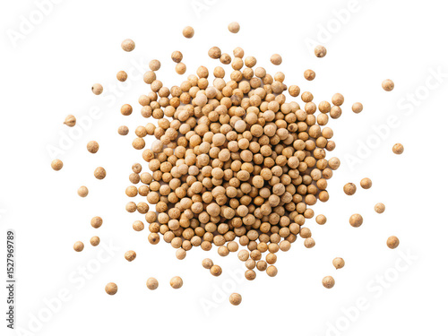 godetia seeds png flower seeds png godetia flower seed png gardening seeds png colorful bloom seeds png annual flower seeds png garden plant seeds png transparent background image