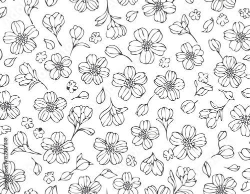 Sakura blossom pattern. Cherry flower seamless vector background. Floral japanese or chinese black line art. Spring vintage tree branch.elegant, graphic, japan, japanese, ornament, outline, print.