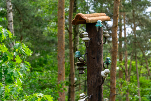 Old wooden utility pole with ceramic insulators, partially covered with a roof tile, standing among trees in a forest. A remnant of former electrical infrastructure in a natural setting.