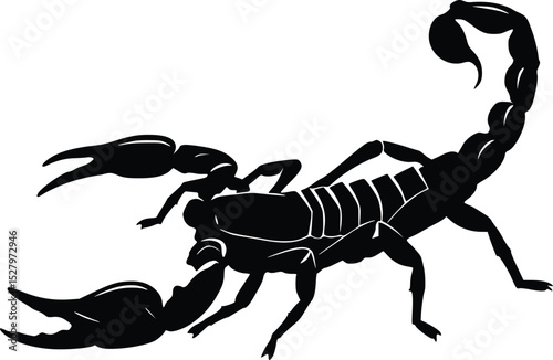Silhouette of a scorpion with segmented body, pincers, and upward-curved stinger in a clean, minimal style